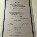 Ingrandire l'immagine: certificate 11