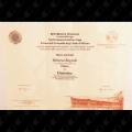 Ingrandire l'immagine: certificate 1