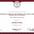 Ingrandire l'immagine: certificate 6