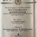 Ingrandire l'immagine: certificate 3