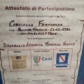 Ingrandire l'immagine: certificate 1