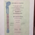 Ingrandire l'immagine: certificate 1