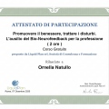Ingrandire l'immagine: certificate 5