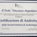 Ingrandire l'immagine: certificate 12