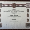 Ingrandire l'immagine: certificate 5