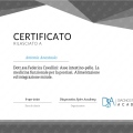 Ingrandire l'immagine: certificate 9