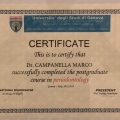 Ingrandire l'immagine: certificate 4