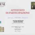 Ingrandire l'immagine: certificate 4