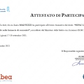 Ingrandire l'immagine: certificate 43