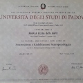 Ingrandire l'immagine: certificate 1