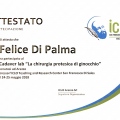 Ingrandire l'immagine: certificate 19