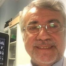 Ingrandire l'immagine: Renato Palmiero, cardiologo Torino