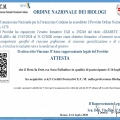 Ingrandire l'immagine: certificate 1
