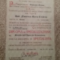Ingrandire l'immagine: certificate 1