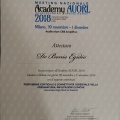 Ingrandire l'immagine: certificate 1