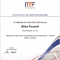 Ingrandire l'immagine: certificate 7