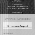 Ingrandire l'immagine: certificate 8