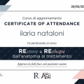 Ingrandire l'immagine: certificate 3