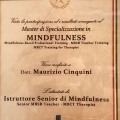 Ingrandire l'immagine: certificate 9