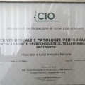 Ingrandire l'immagine: certificate 2