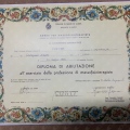 Ingrandire l'immagine: certificate 1