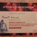 Ingrandire l'immagine: certificate 6