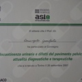 Ingrandire l'immagine: certificate 52