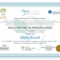Ingrandire l'immagine: certificate 7