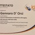 Ingrandire l'immagine: certificate 20