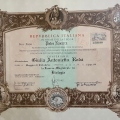 Ingrandire l'immagine: certificate 2