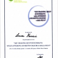 Ingrandire l'immagine: certificate 9
