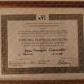 Ingrandire l'immagine: certificate 1