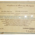 Ingrandire l'immagine: certificate 3