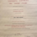 Ingrandire l'immagine: certificate 1