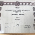 Ingrandire l'immagine: certificate 1