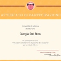 Ingrandire l'immagine: certificate 1