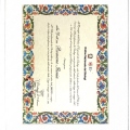 Ingrandire l'immagine: certificate 7