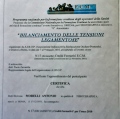 Ingrandire l'immagine: certificate 14