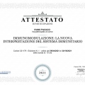 Ingrandire l'immagine: certificate 4