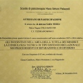 Ingrandire l'immagine: certificate 10
