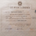 Ingrandire l'immagine: certificate 1