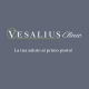 Vesalius Clinic logo