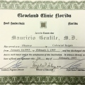 Ingrandire l'immagine: certificate 1
