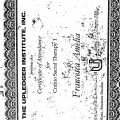 Ingrandire l'immagine: certificate 4