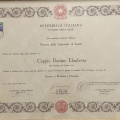 Ingrandire l'immagine: certificate 1