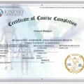 Ingrandire l'immagine: certificate 4