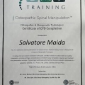 Ingrandire l'immagine: certificate 5