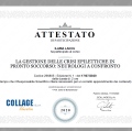 Ingrandire l'immagine: certificate 5
