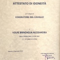 Ingrandire l'immagine: certificate 6