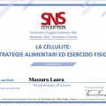Ingrandire l'immagine: certificate 16